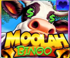 Moolah Bingo online casino game