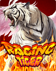 Racing Tiger fish shooting game